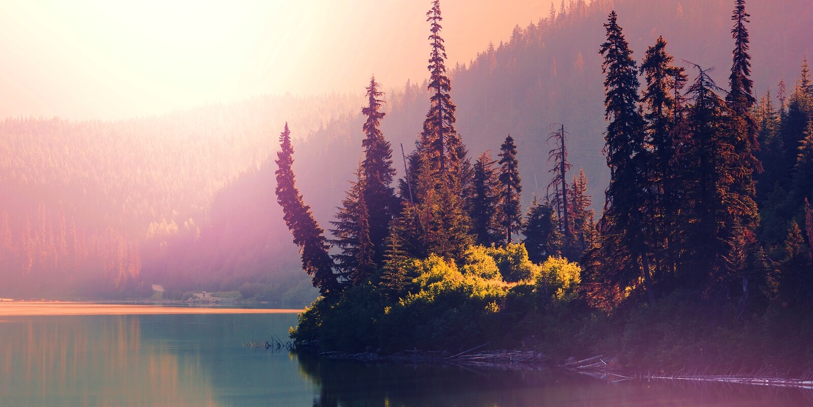 10 Great Flexible Jobs in Alaska, Hiring Now! FlexJobs