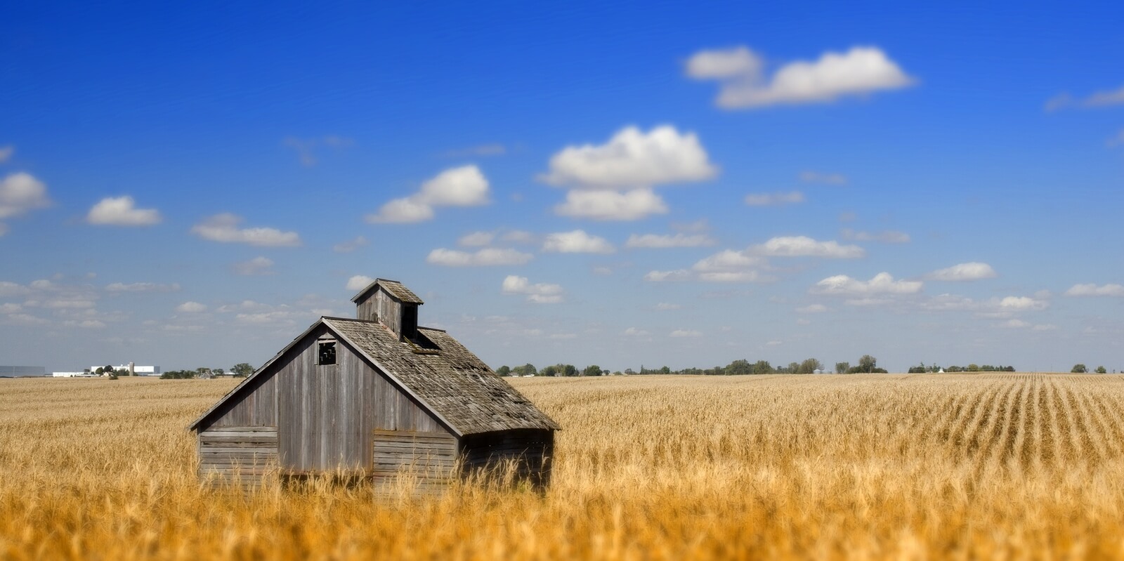 10 Great Flexible Jobs in Iowa, Hiring Now FlexJobs