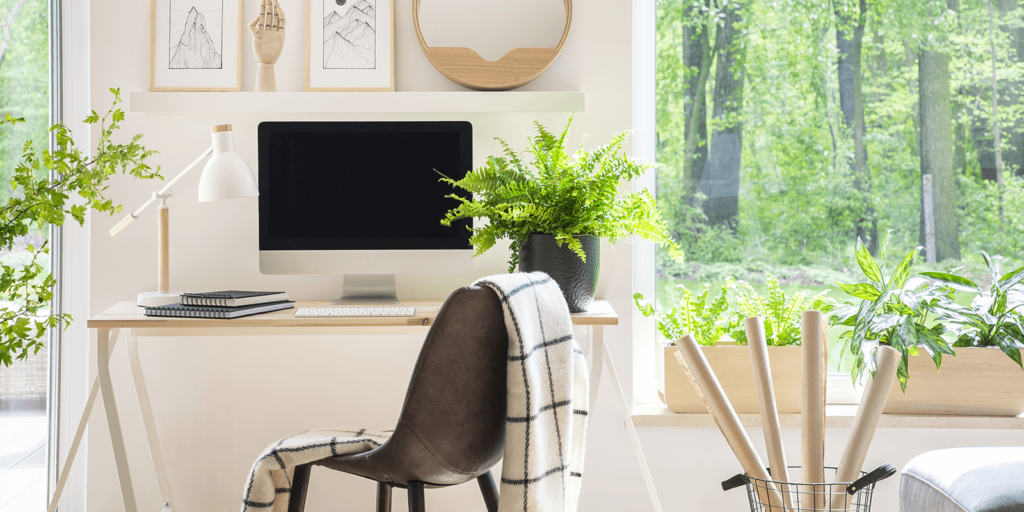 5 Houseplants to Freshen up Your Home Office