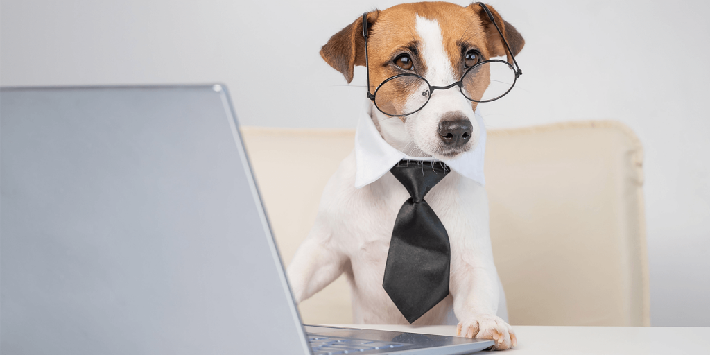 Celebrate Take Your Dog and Other Pets To Work Day FlexJobs