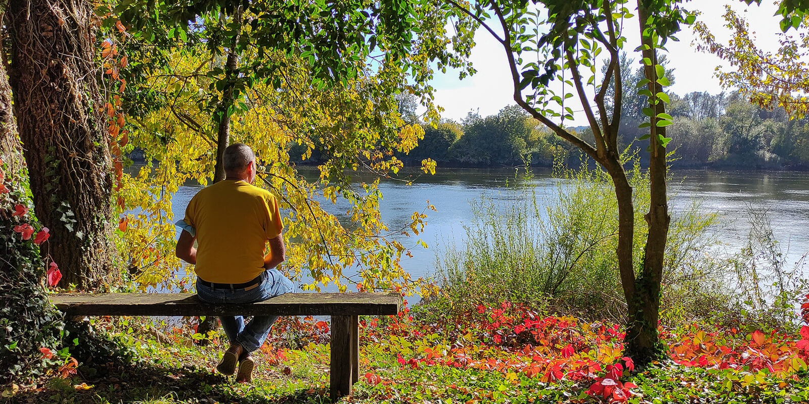 Passive Job Search Find Jobs When You’re Not Actively Looking FlexJobs