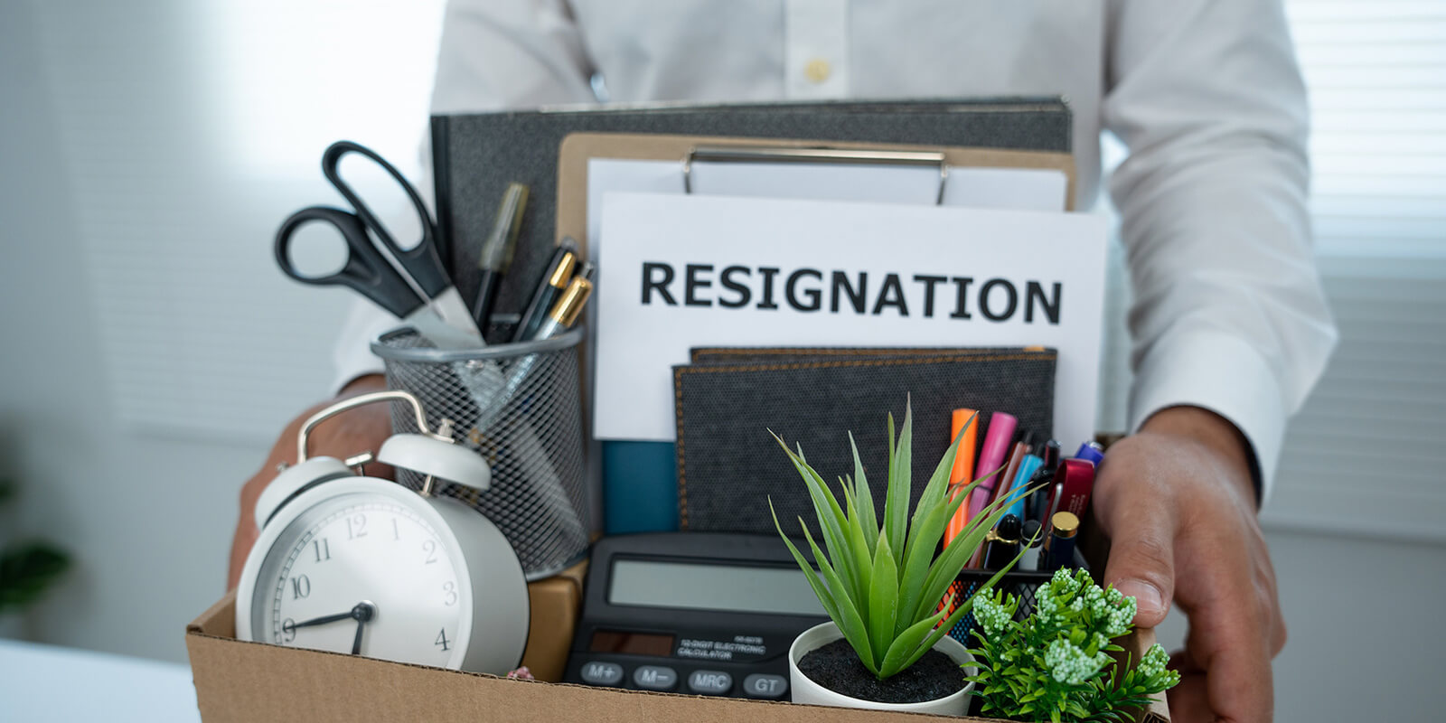 The Changing Work Landscape Layoff Fears and Career Shifts on the Rise FlexJobs